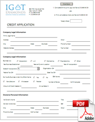 Credit Application PDF
